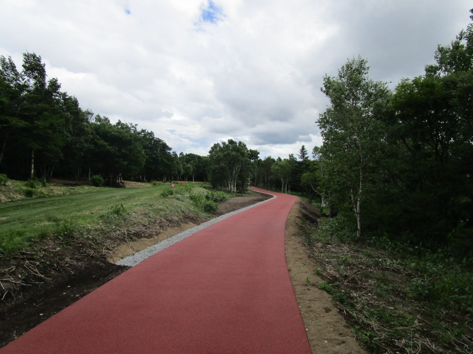 ��̌������۽���ذ���